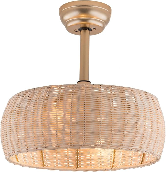 LOYALHEARTDY Rattan Caged Fandelier with Lights - 18in Bamboo, 6-Speed Reversible, Remote Control... | Amazon (US)