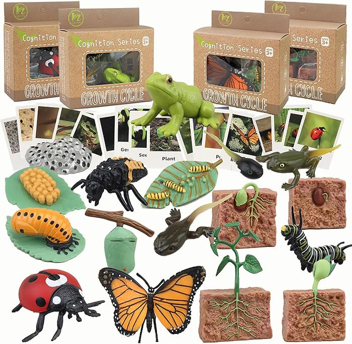 Mbrain Life Cycle Learning & Education Toys,Montessori Toys Figurines for Frog, Butterfly, Ladybu... | Amazon (US)