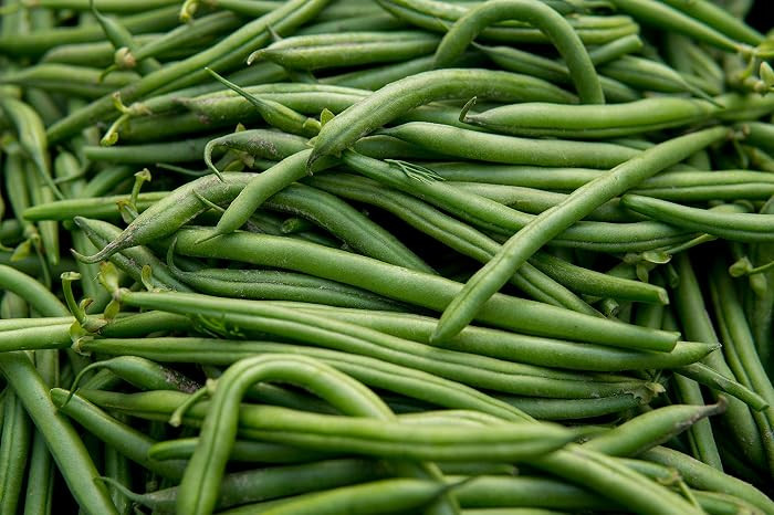 Blue Lake Pole Bean Seeds - Non-GMO - 2 ounces, approximately 175 seeds | Amazon (US)