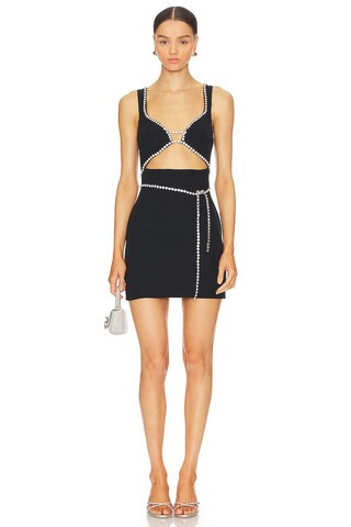 Matteson Mini Dress in Black | Revolve Clothing (Global)