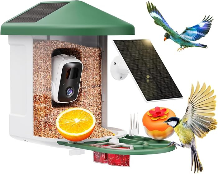 Smart Bird Feeder with Camera - AI Identify Birds Species, Solar Powered Bird House with Cam, 2L ... | Amazon (US)
