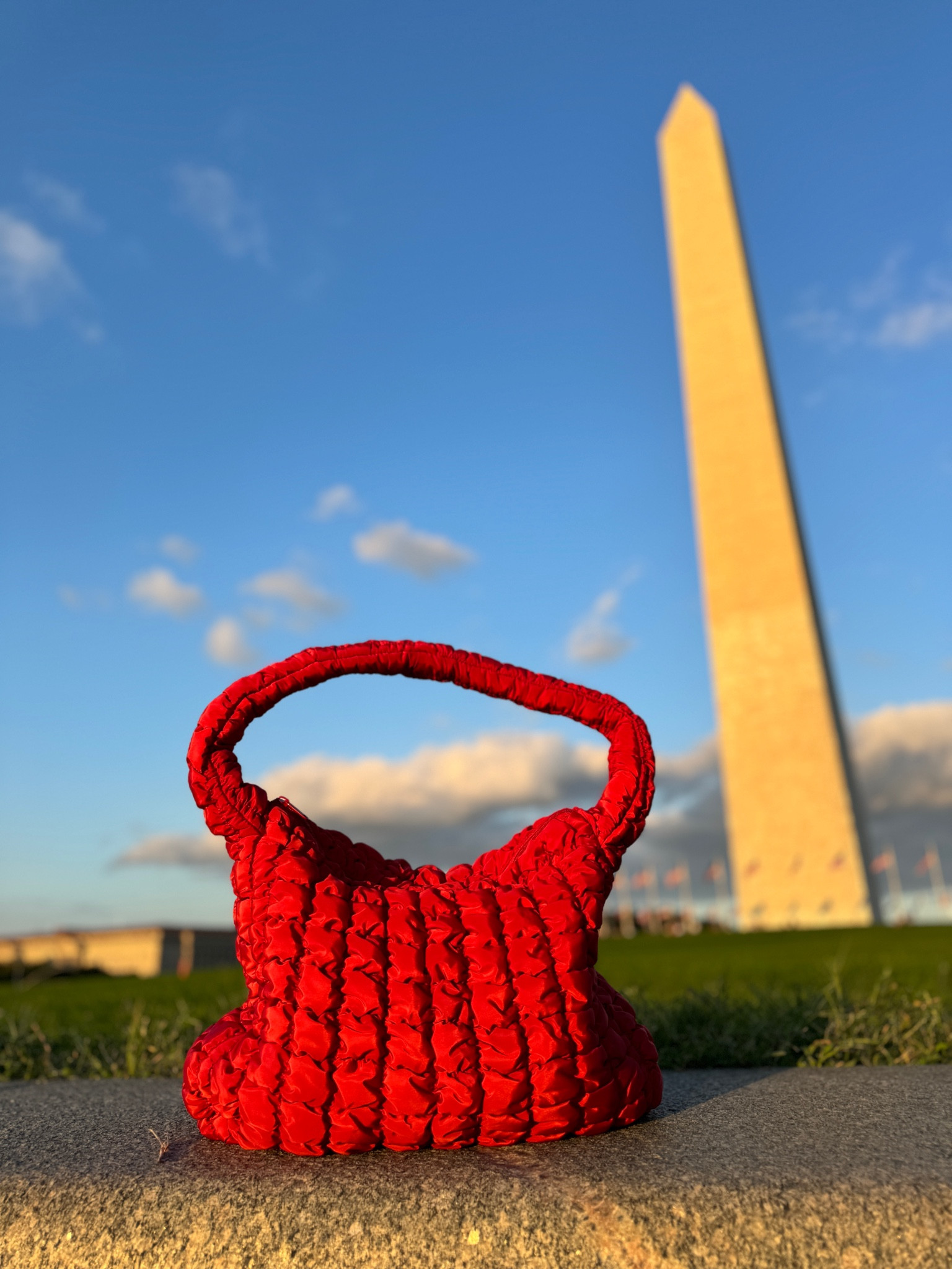 Target red quilted bag 

#LTKFindsUnder50 #LTKItBag