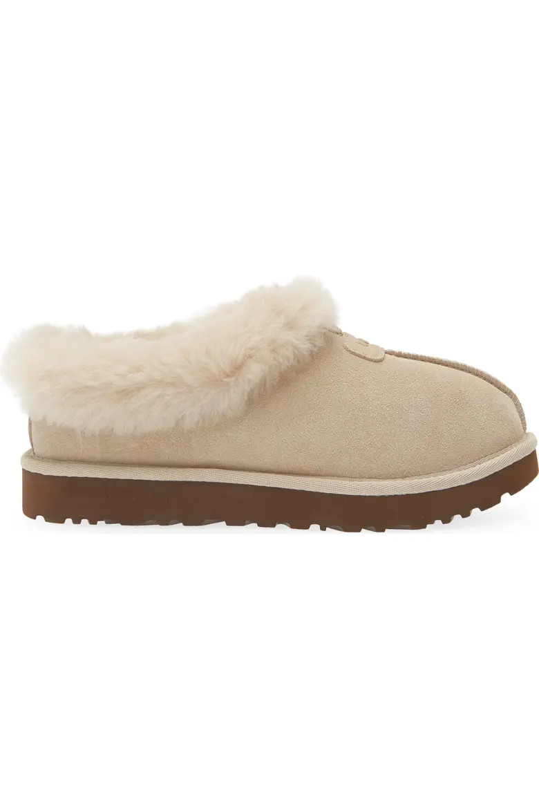 Tazzette Genuine Shearling Collar Slipper (Women) | Nordstrom | Nordstrom