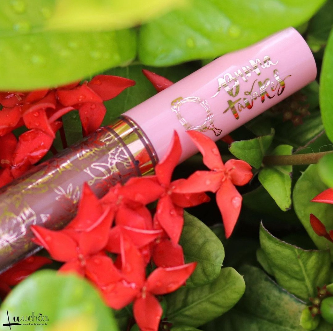 O gloss da @linhabrunatavares @brunatavares é super pigmentado, tem a textura mais firme, mais encorpado e tem um brilho laqueado LINDO!! 😍.
.
Essa é a cor Denise, uma das minhas favoritas!!.
.
Arrasta aí para o lado que tem foto dele por cima do lápis de boca Moon da @kyliecosmetics e tem também uma foto mostrando ele sozinho na minha mão. 

#LTKCyberWeek #LTKbeauty #LTKbrasil