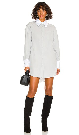 Talie Mini Dress in Blue & White | Revolve Clothing (Global)