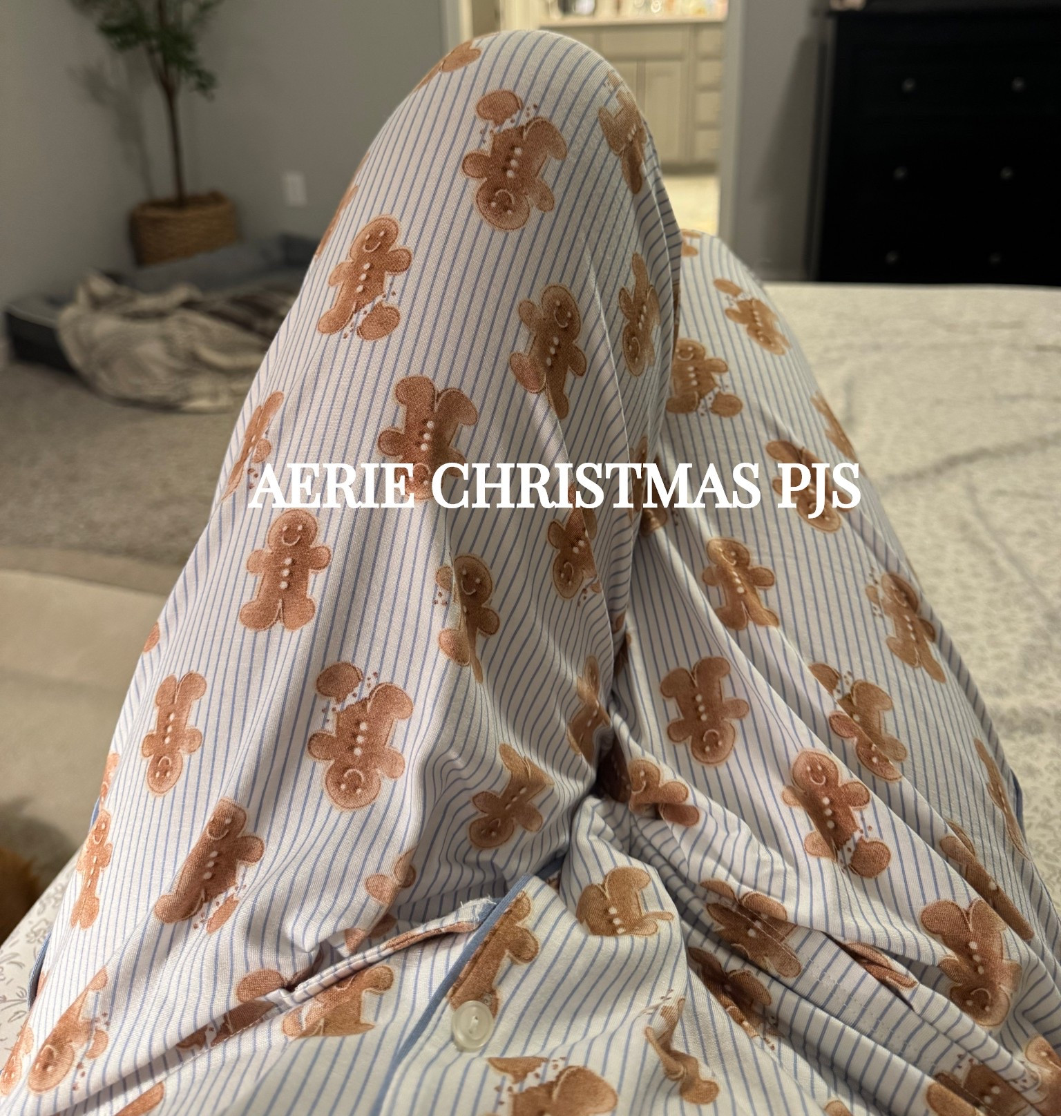I love Aeries PJs. I ended up ordering three different sets this year in their Christmas collection ❤️ 

#LTKHoliday #LTKSeasonal