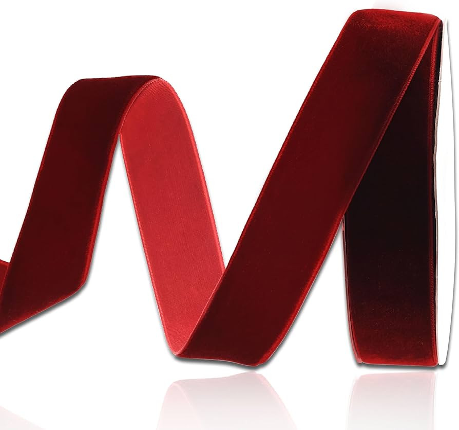 IDONGCAI Velvet Ribbon Spool Velvet Fabric Ribbon Trim 10 Yards/Roll Velvet Trim Ribbon (Burgundy... | Amazon (US)