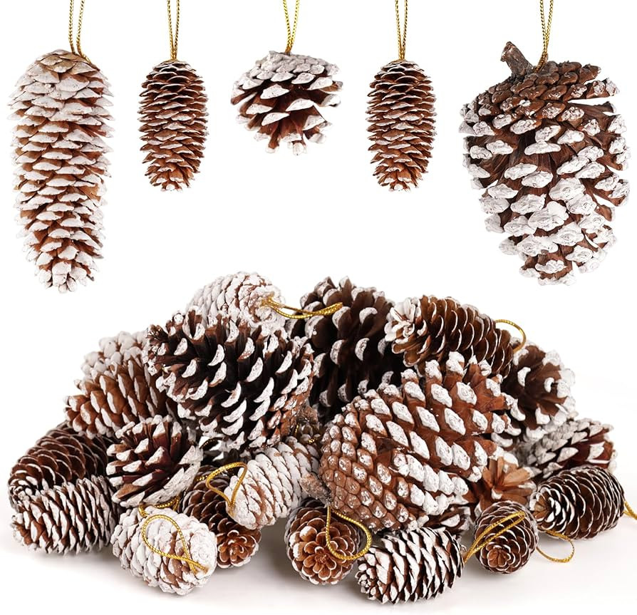 JOHOUSE 28PCS Natural Pine Cones with Strings, Hanging Christmas Ornaments, Garland/Wreath DIY, A... | Amazon (US)