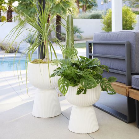 Outdoor planters indoor plants 

#LTKhome #LTKsalealert #LTKunder100