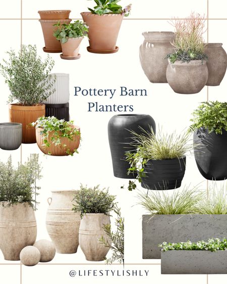 Elegant collection of Pottery Barn, planters offering unique styles and sizes to elevate any outdoor space with a charming aesthetic  

#LTKhome #LTKFind #LTKSeasonal