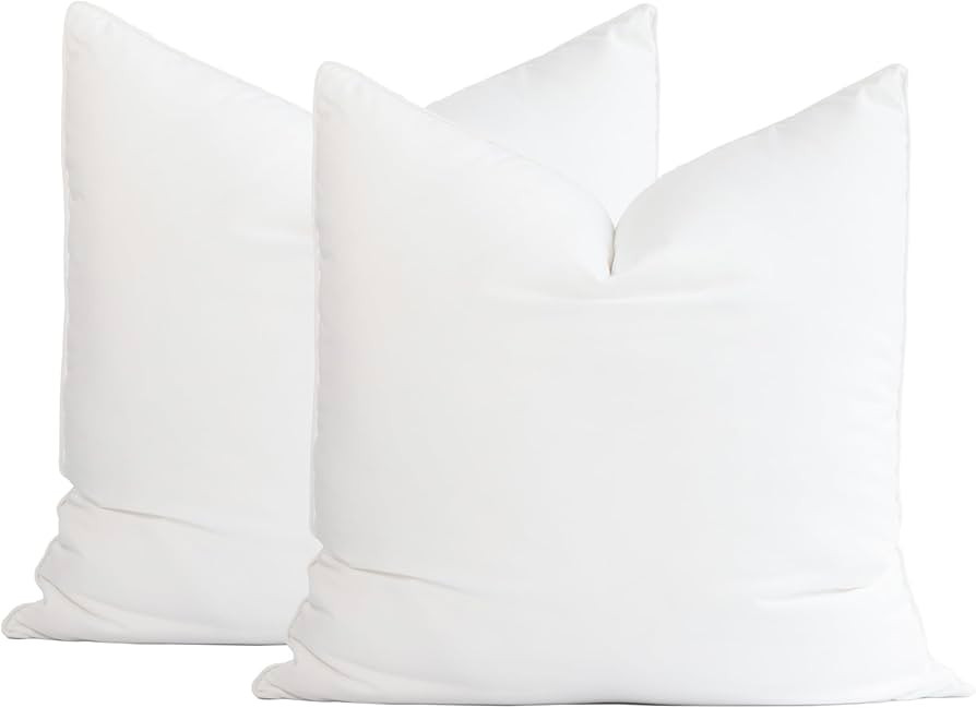Hofdeco Premium Throw Pillow Insert, Set of 2, 24"x24" (for Cover Size 22"x22") Water Resistant S... | Amazon (US)