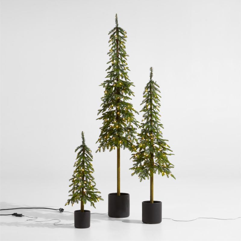 Faux Potted Slim Alpine Pre-Lit LED Trees with White Lights | Crate & Barrel | Crate & Barrel