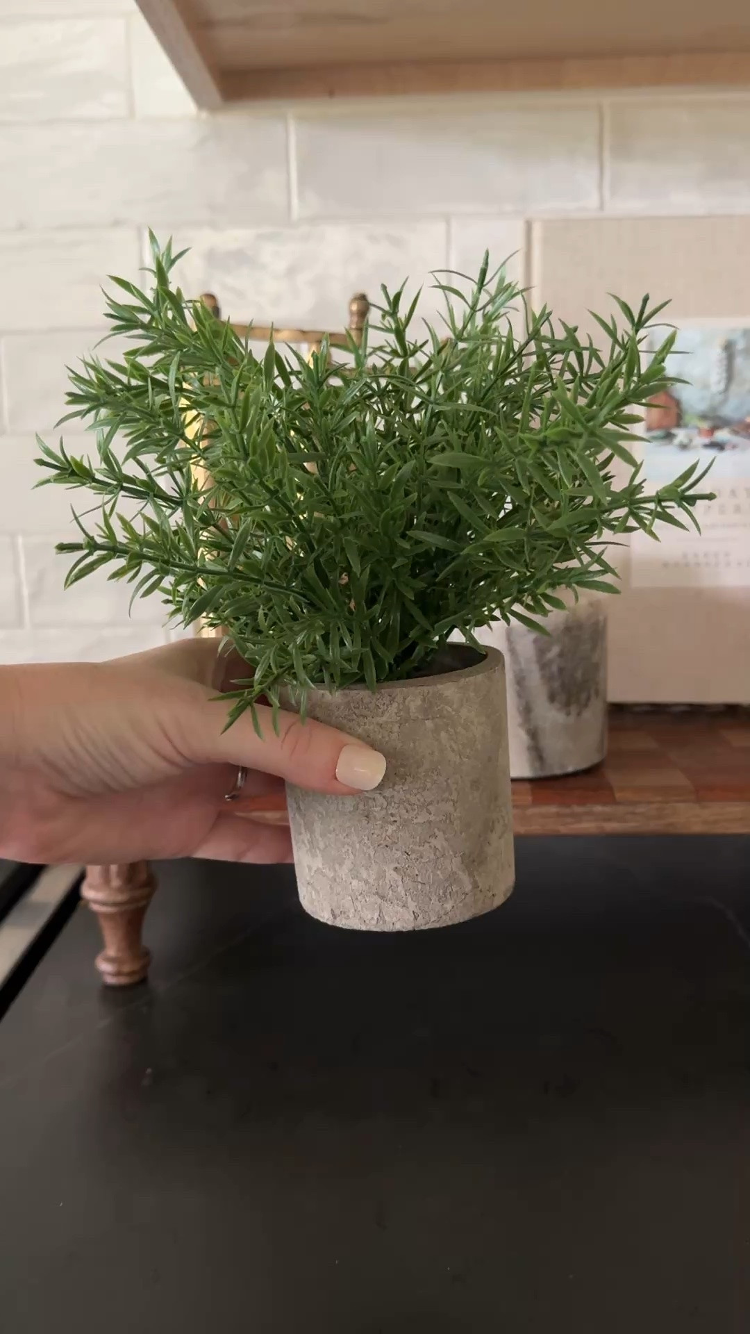 These little faux rosemary plants are such a pretty way to add greenery to a kitchen. I’ve tried keeping live rosemary indoors, but it just hasn’t worked well in our space, so these have been the perfect alternative.

They come as a set of two in simple concrete-look planters that add just the right amount of texture, and they’re surprisingly affordable. An easy way to bring a little life to your countertops without the upkeep. 🤍

#LTKHome #KitchenDecor #KitchenStyling #FauxPlants #TimelessHome