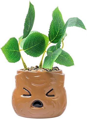 Silver Buffalo Harry Potter Mandrake Face Decorative Artificial Faux Greenery Plant in Ceramic | Amazon (US)