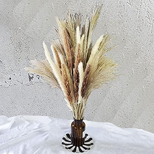 60 Pcs | 15 Pcs White Pampas & 15 Pcs Brown Pampas & 30 Pcs Reed Grass/Natural Dried Pampas Grass... | Amazon (US)