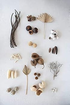 Creative Co-Op Approximately 3" H Handmade Dried Natural Leaf Bag (Contains 13 Pieces) Palm Lead ... | Amazon (US)