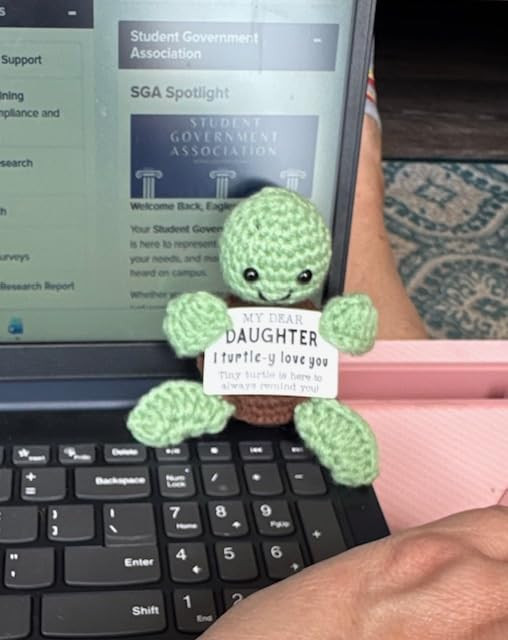 Mini Funny Turtle Mothers Day Mom Gifts from Daughter Son, Birthday Gifts for New Bonus Step Mom ... | Amazon (US)