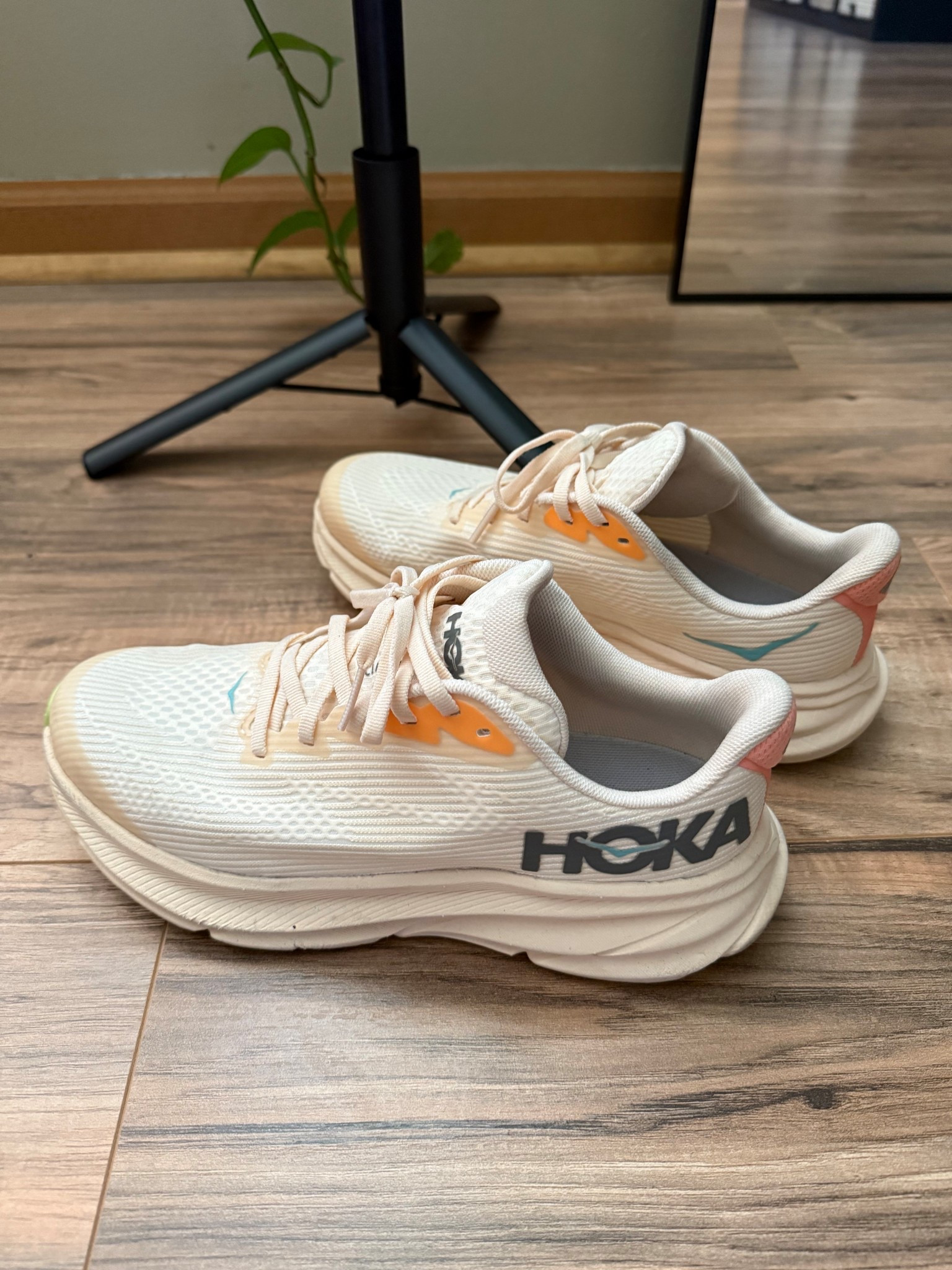 Hahaha, I found these in store and didn’t realize they were big kids! 🤷🏽‍♀️ they fit great tho…. I’m wearing a size 6.5 which gives me or take is normal but for a running shoe it recommended that you size up as half size. But these fit perfectly with room! 
I am a women 8.5/9

#LTKOver40 #LTKWorkwear #LTKActive