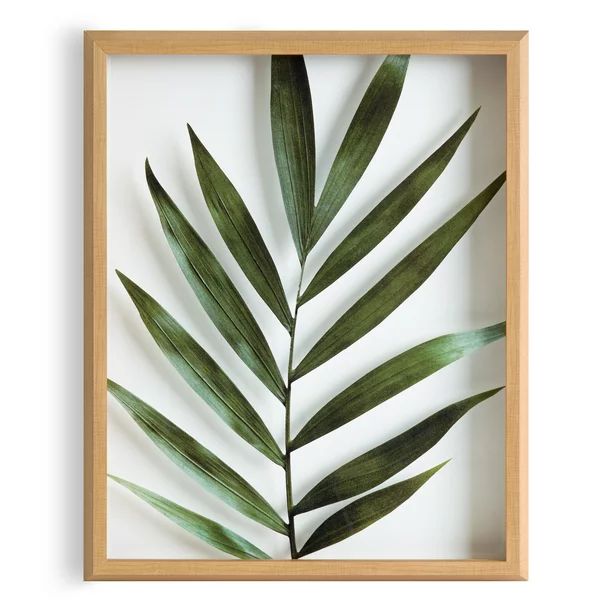 Kate and Laurel Plants Framed Canvas Art Print, 16 in x 20 in, by Amy Peterson | Walmart (US)
