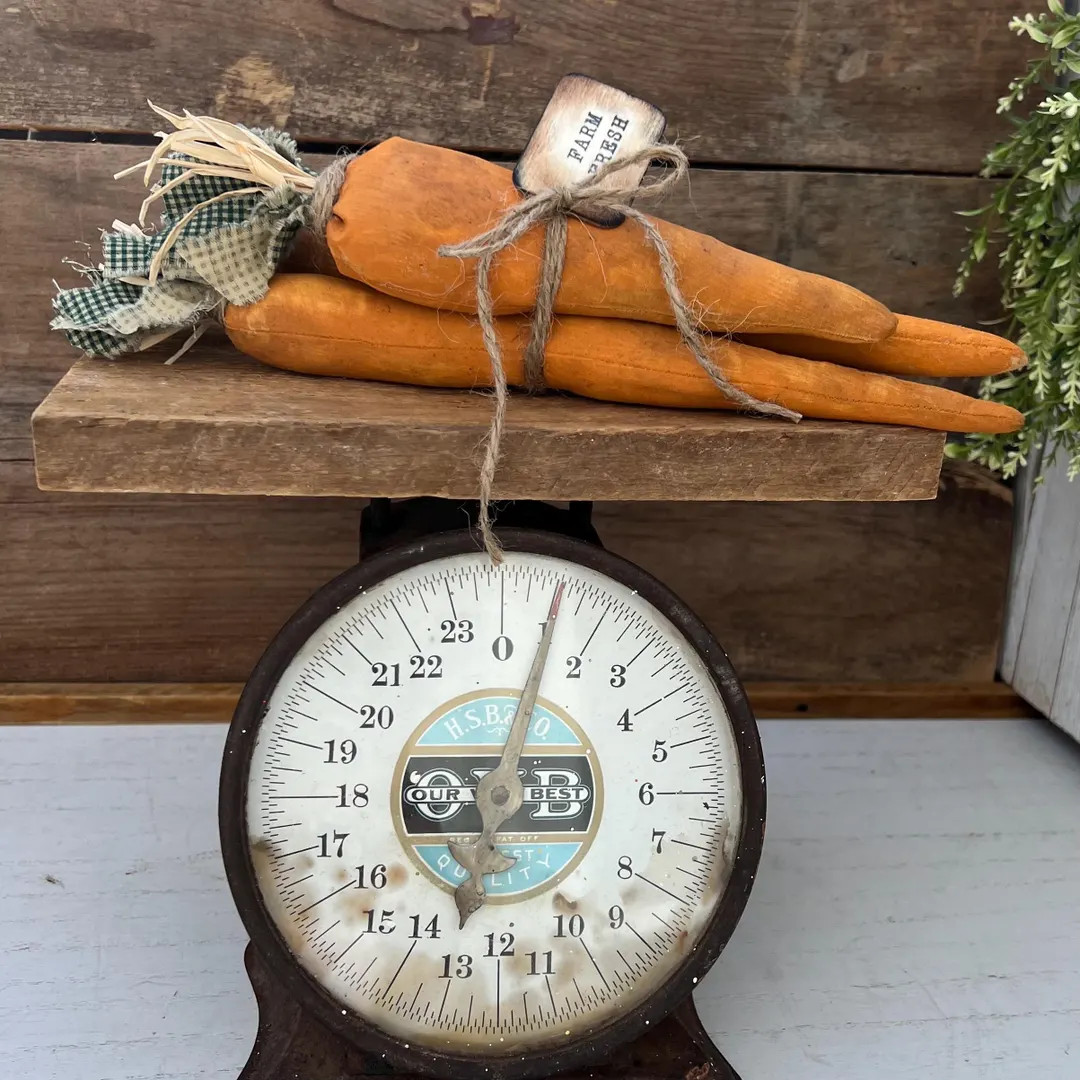 Handmade Farm Fresh Carrots – Rustic Muslin Spring Farmhouse Bowl Filler | Etsy (US)