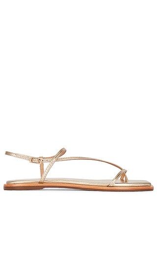 Alayta Sandal in Gold | Revolve Clothing (Global)