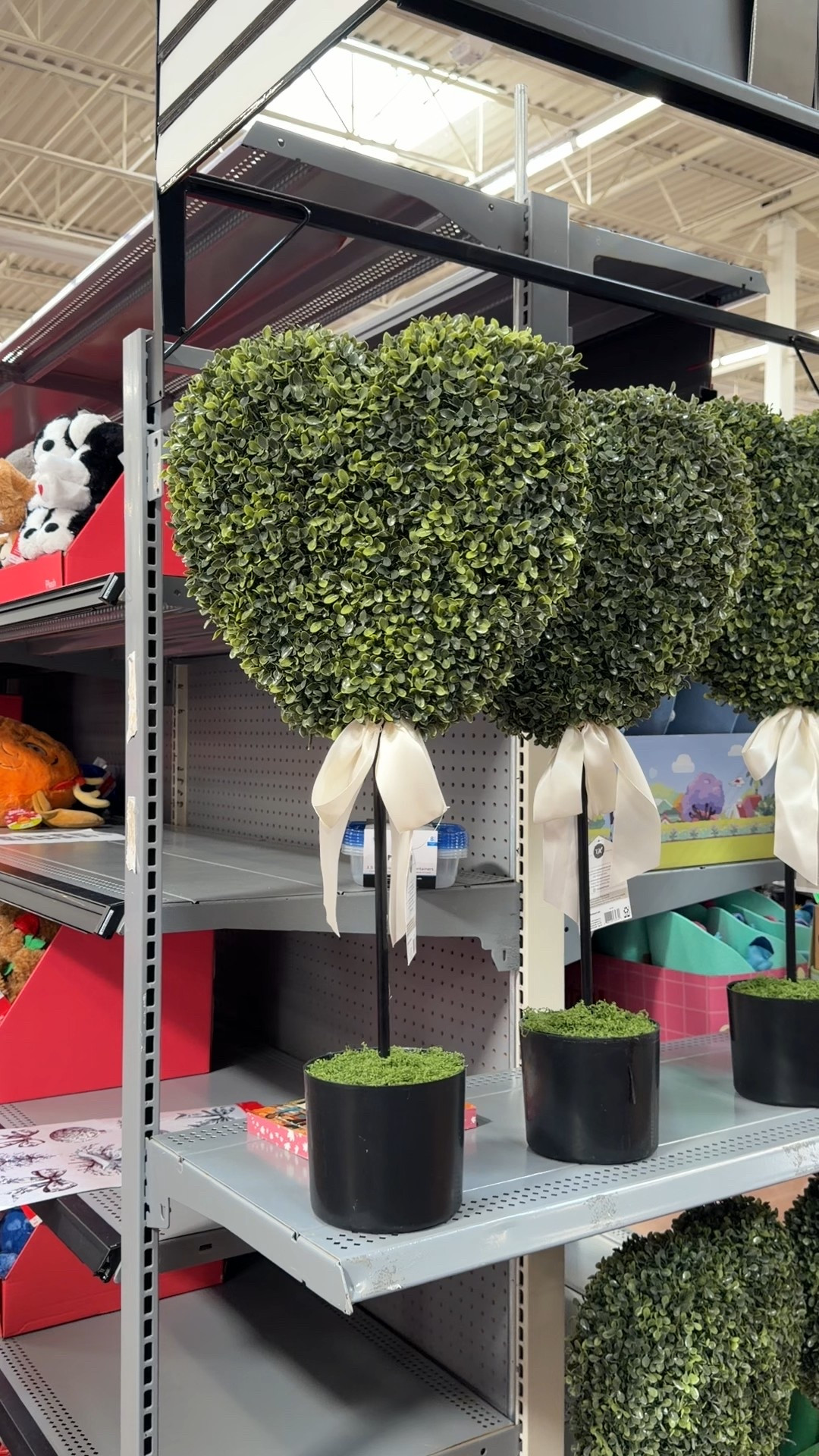 Boxwood heart topiaries for Valentine’s Day 💕