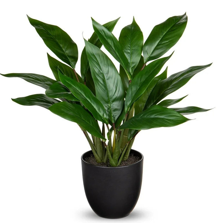17'' Artificial Potted Plants Fake Greenery Cast Iron Plant Indoor Realistic Faux Plants with Bla... | Walmart (US)