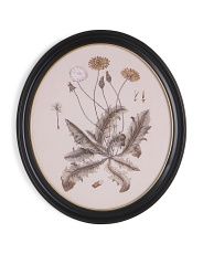 15in Back And White Flowers Framed Wall Art | Home | Marshalls | Marshalls