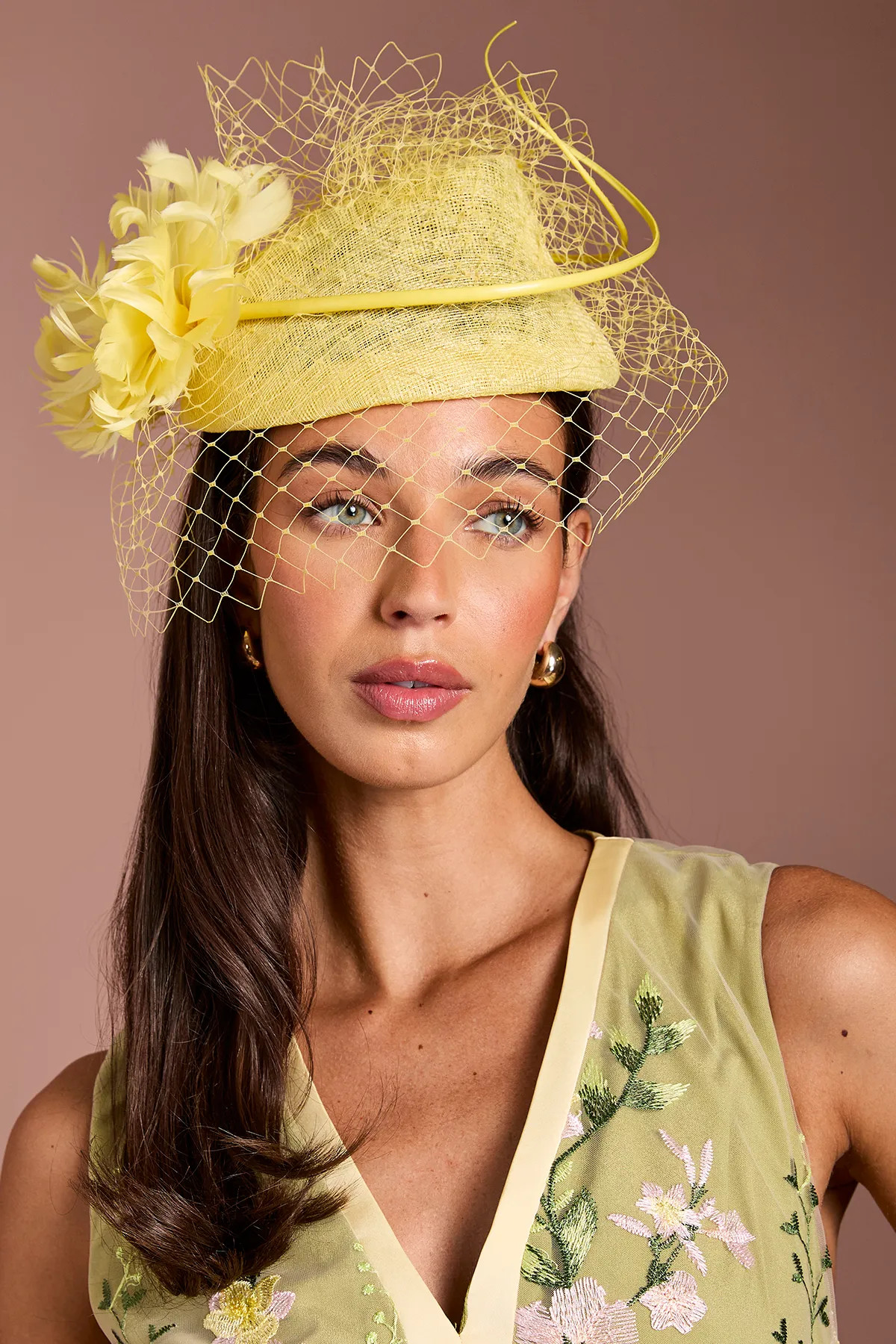 Lemon Coast Lisa Tan Flower And Net Detail Pillbox Fascinator | Debenhams | Debenhams UK