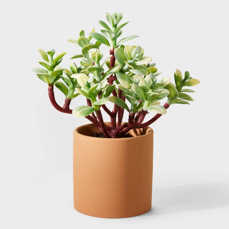 7.5" Small Artificial Portulacaria Plant - Hilton Carter for Target | Target