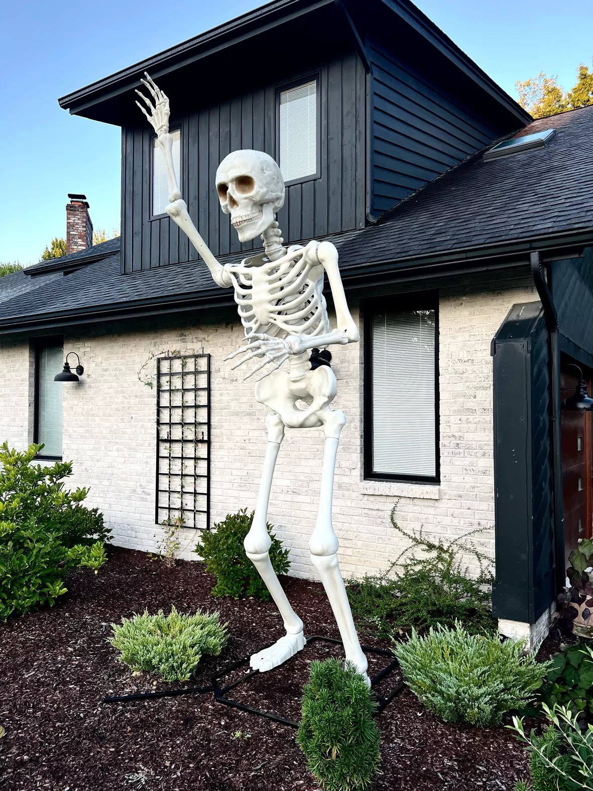 Halloween Giant Poseable Skeleton … curated on LTK