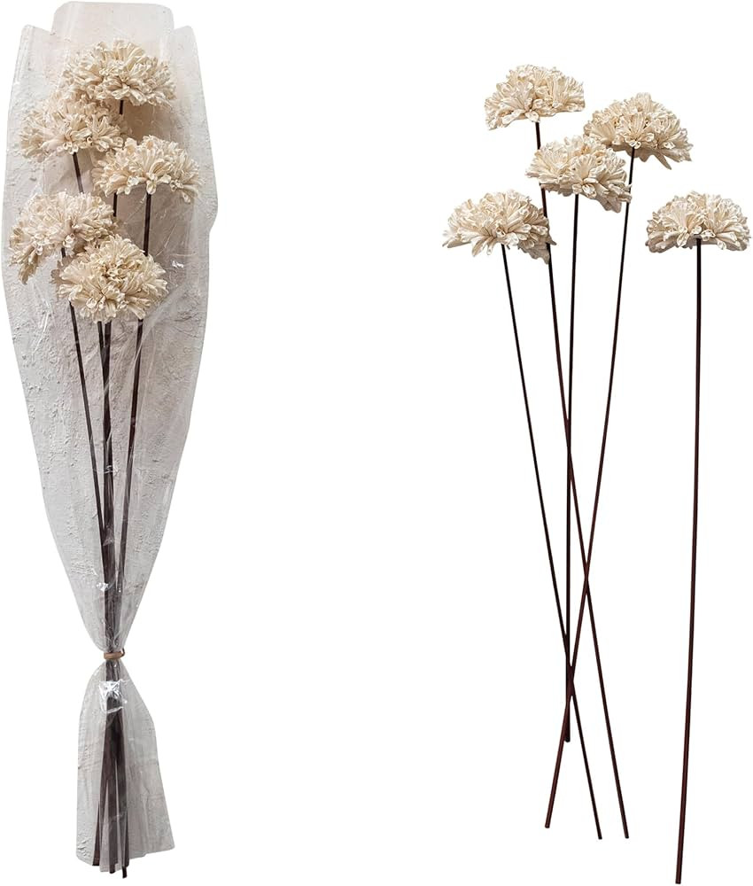 Creative Co-Op Dried Natural Sesame Flower Bunch, Cream | Amazon (US)