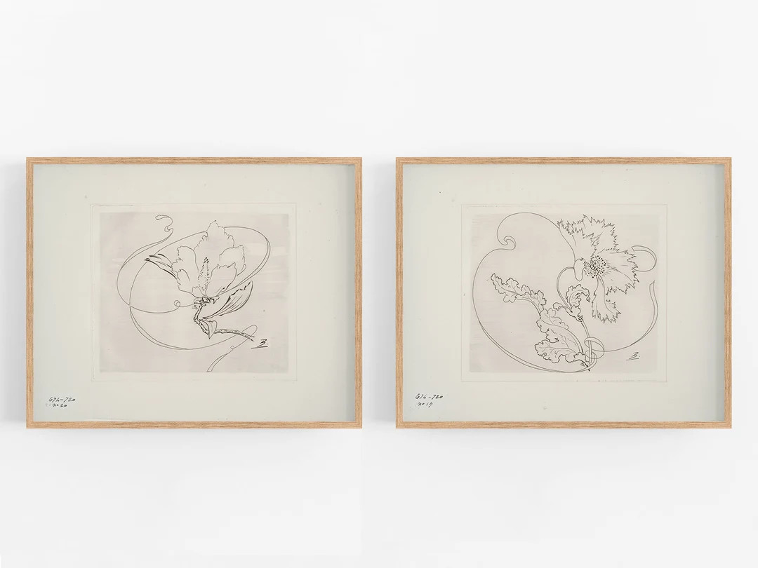 Set of Two French Porcelain Flower Sketches / Botanical Art / - Etsy | Etsy (US)