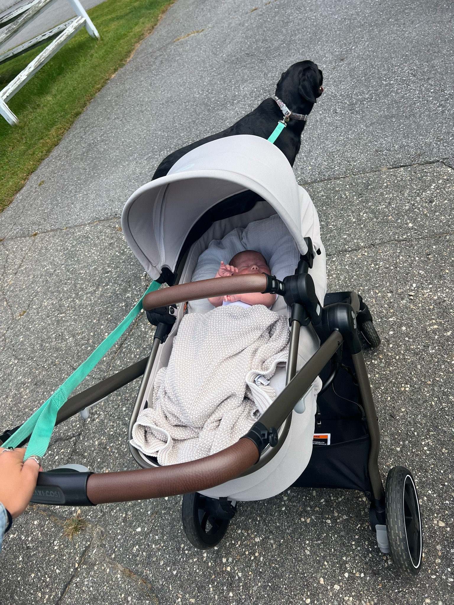 Hands down Maxi Cosi is my favorite car seat & stroller brand out there! The level of comfort and safety these provide is amazing!! Also the prettiest colors 😍

#LTKBump #LTKKids #LTKBaby