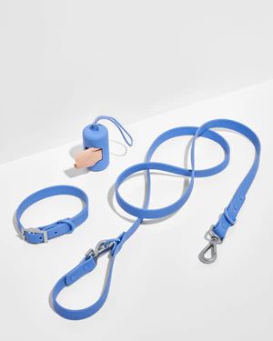 Collar Walk Kit | Dog Collar & Leash Set | Wild One | Wild One