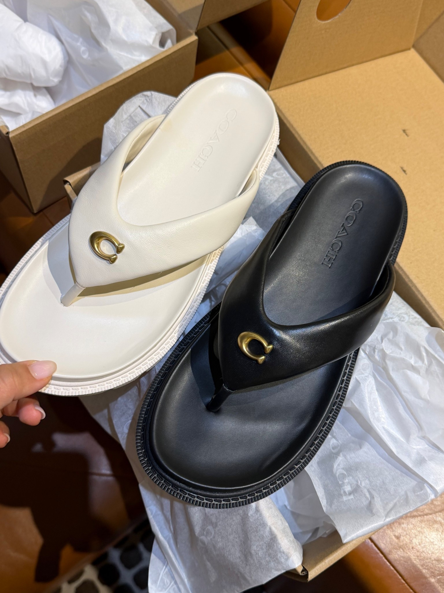 Cutie spring/summer sandals 

White sandals 
Spring sandals 
Summer sandals
Coach sandals 


#ltkseasonal #ltktravel #ltkmomlife

#LTKTravel #LTKSaleAlert #LTKvlog