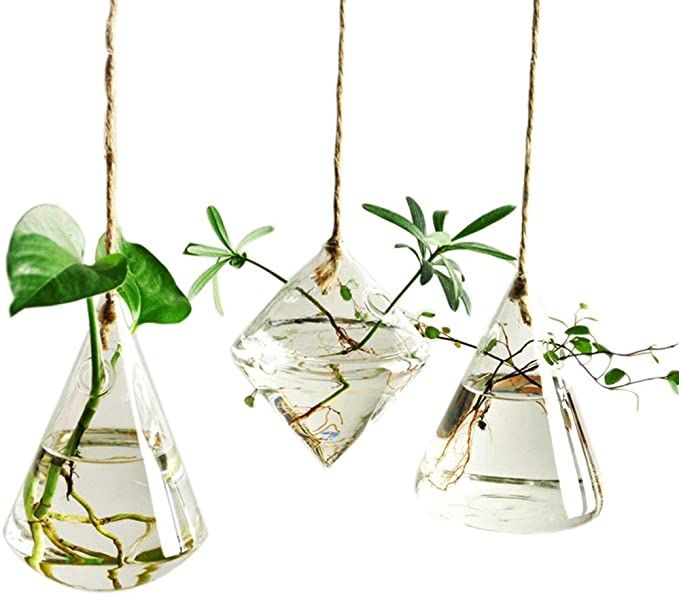 Indoor Outdoor Glass Hanging Planters Plant Pots Water Plant Containers Flower Pots Glass Terrari... | Amazon (US)