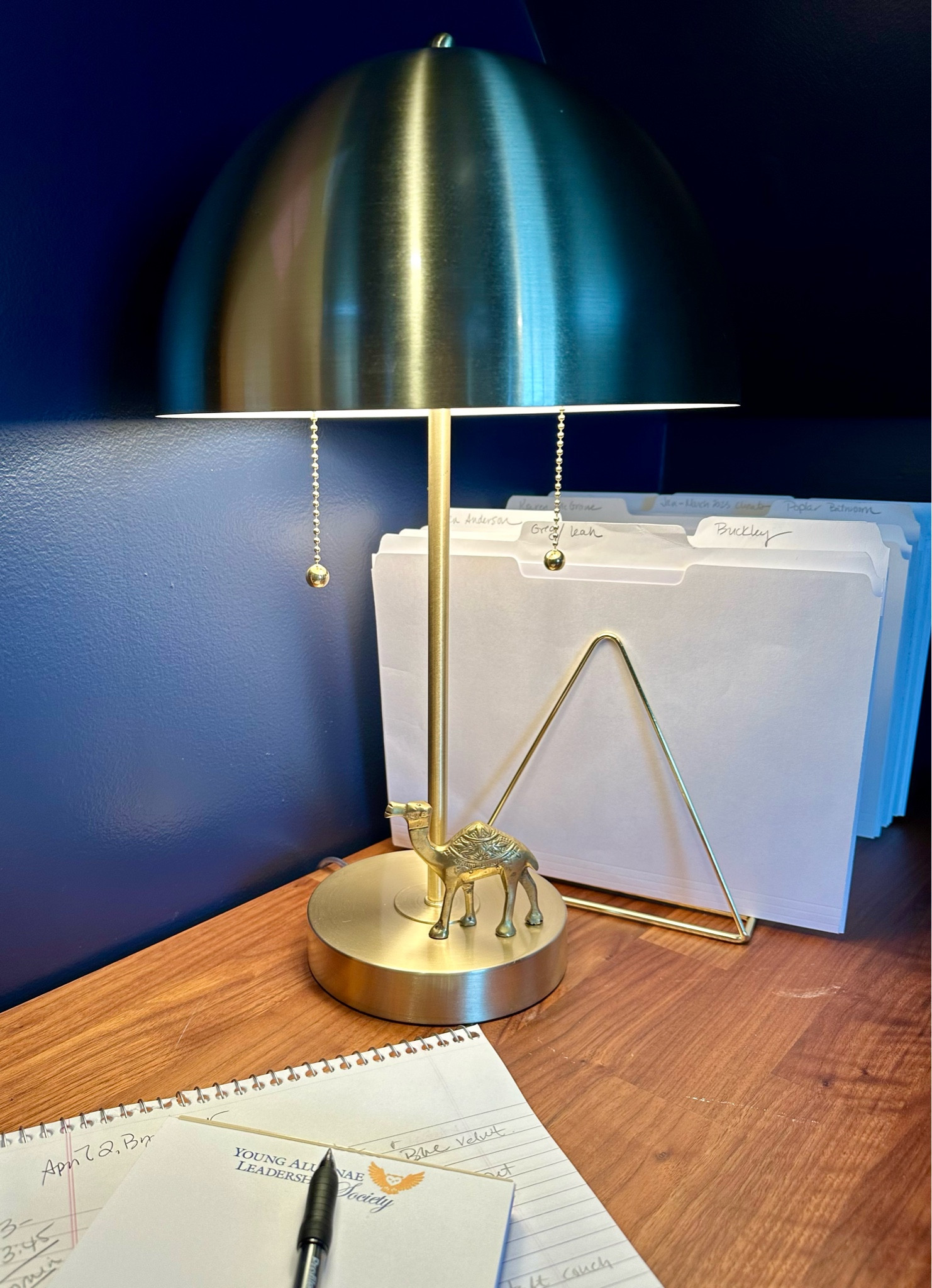 Small moody offices are trending—here’s a sneaky peek at mine  

#LTKfindsunder100 #LTKhome