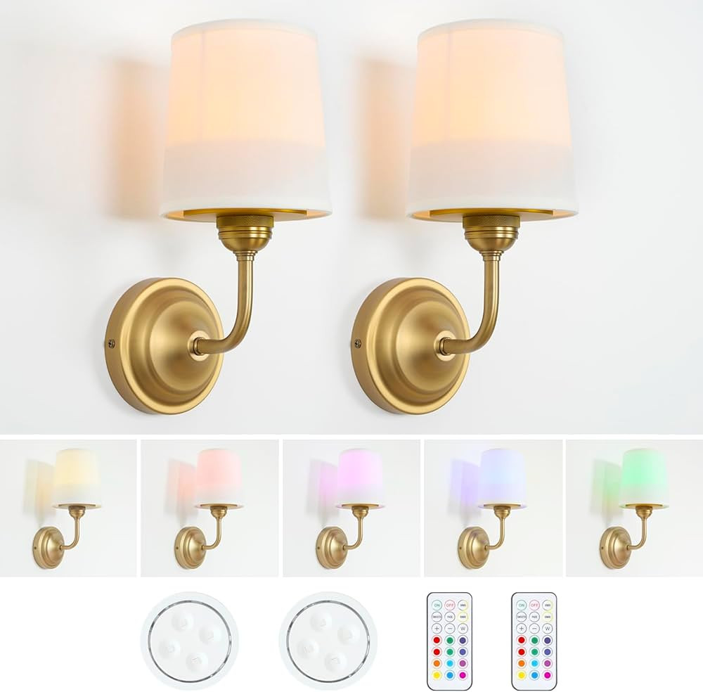 HEQIQEH Vintage Gooseneck Battery Operated Wall Sconce Light Fixture Set of 2 with Remote Control... | Amazon (US)