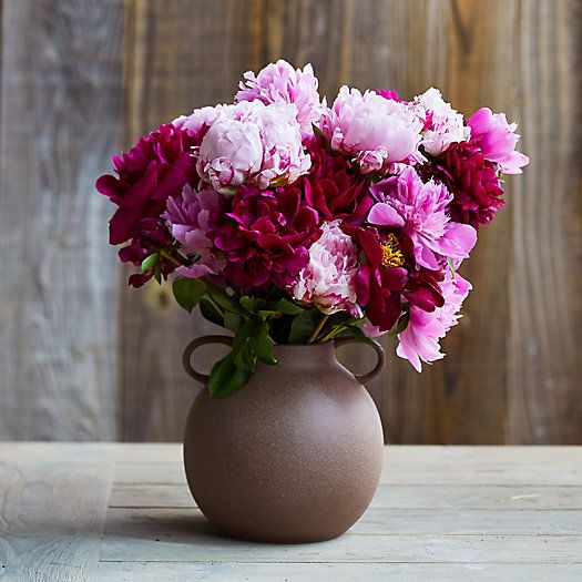 Fresh Peony Bunch | Terrain