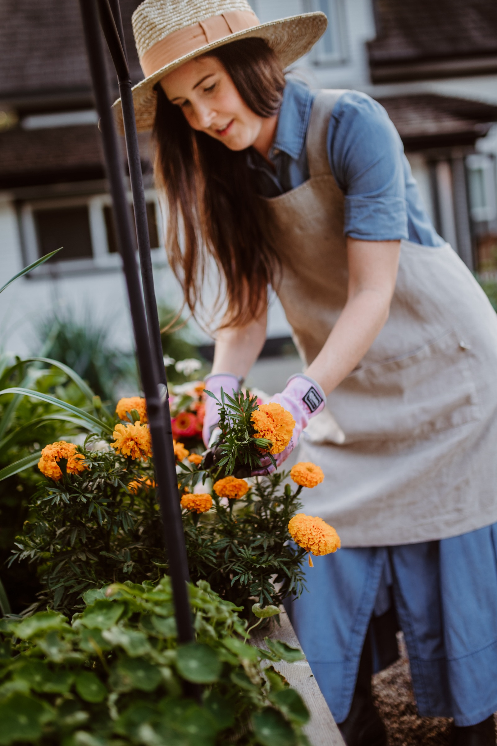 Sunshine, soil, and marigolds 🌼

Out in the garden trimming some bright marigolds …one of my favorite flowers for adding color and keeping pests away naturally. I’m wearing a short-sleeve collared denim dress that’s comfy and durable, layered with my Japanese linen apron for that timeless gardener look.

My pink garden gloves add the perfect pop of color while I dig, plant, and soak up the sunshine. 

🌿 Outfit details: collared denim dress, linen apron, pink gloves
🌸 Garden favorites: marigolds, pollinator-friendly blooms, natural pest control
☀️ Outdoor style meets everyday gardening

#LTKSeasonal