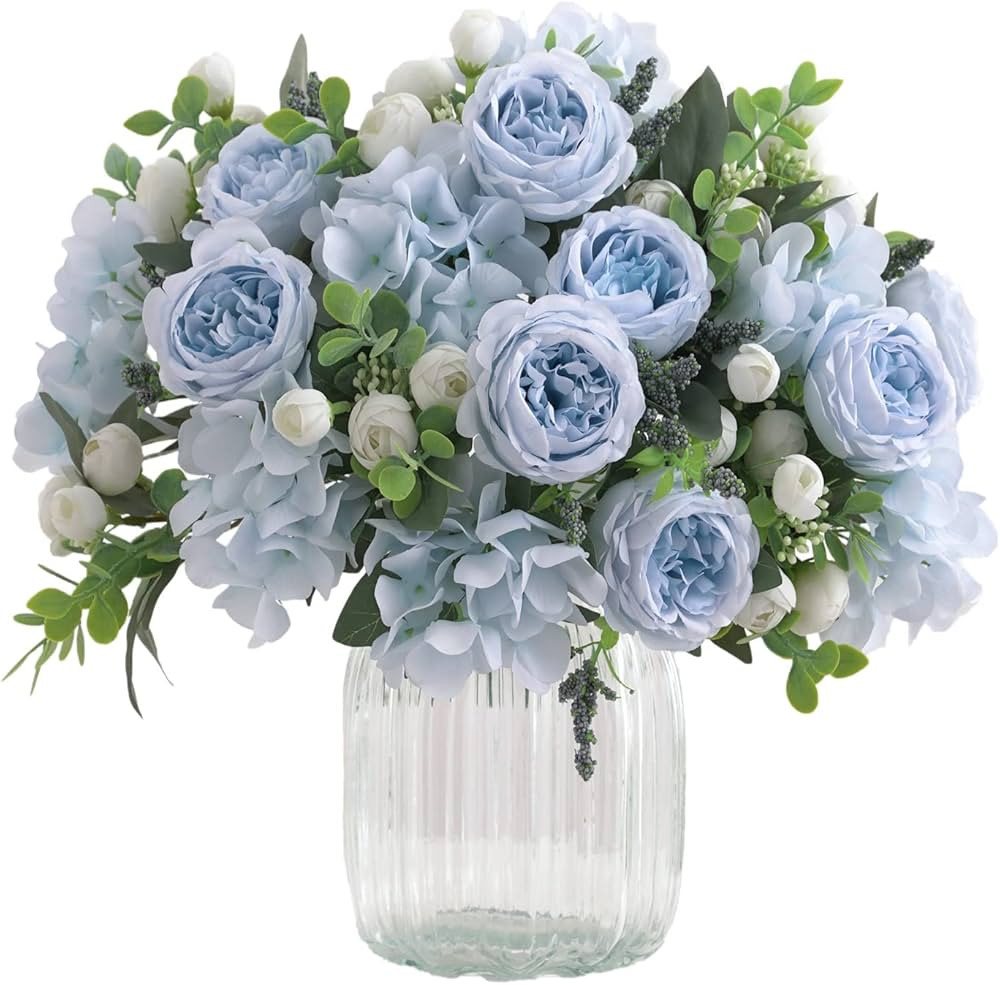 Visit the Karoro Store | Amazon (US)