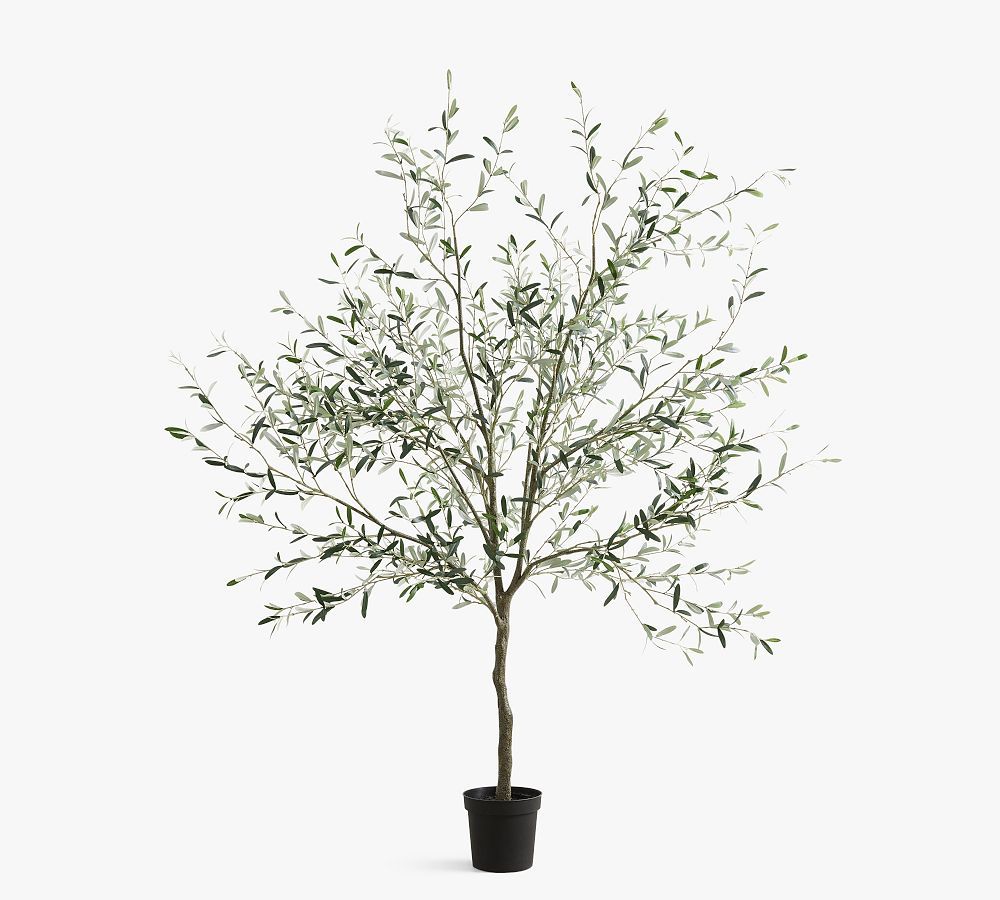 Faux Olive Trees | Pottery Barn (US)