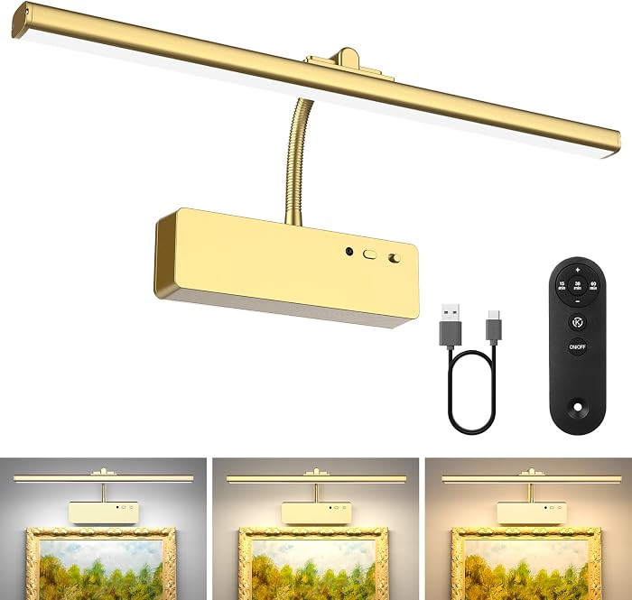 Lightbiz Picture Light, 15.35inch 5400mAh Rechargeable Picture Lights for Wall Battery Operated W... | Amazon (US)