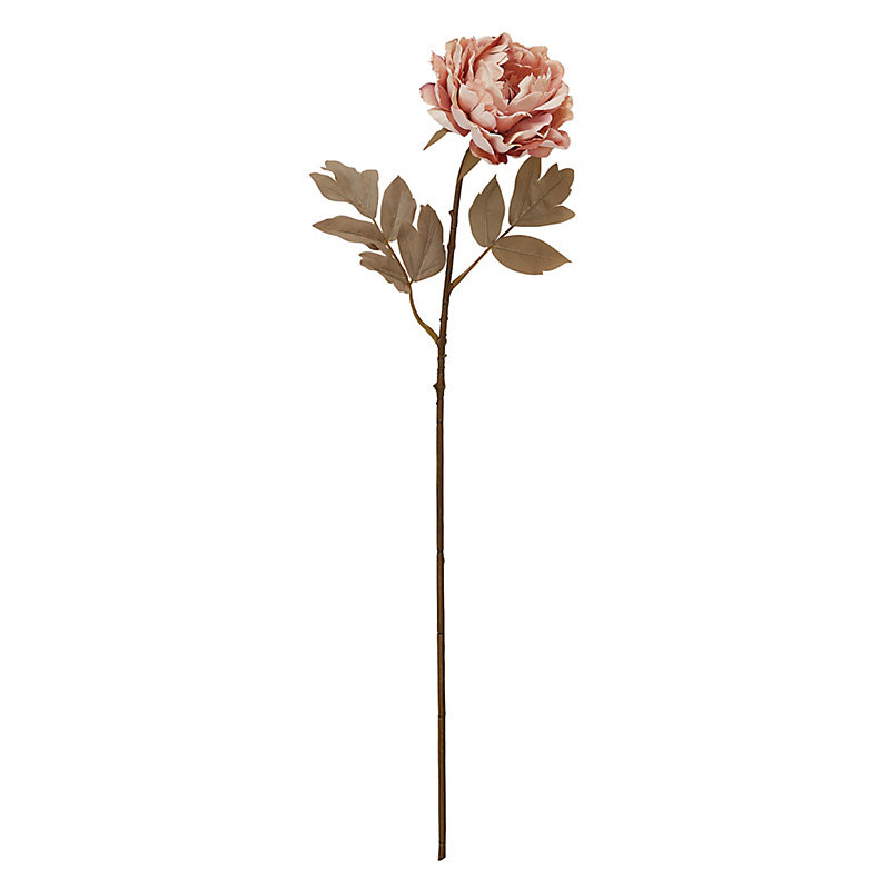 Peony Stem - Blush - Ballard Designs | Ballard Designs, Inc.