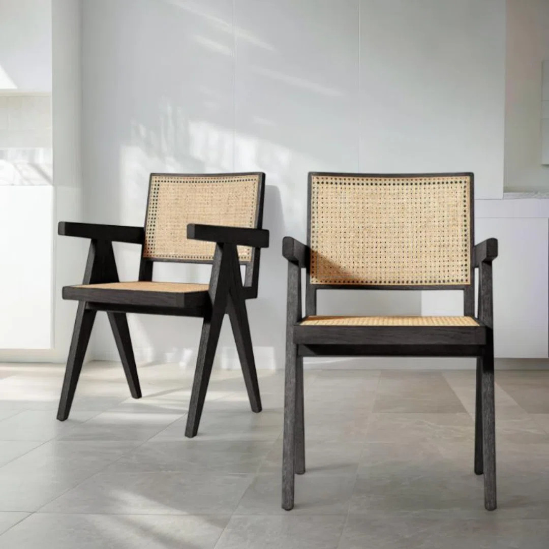 Rhia Dining Chair With Arms (Set of 2) | Wayfair North America