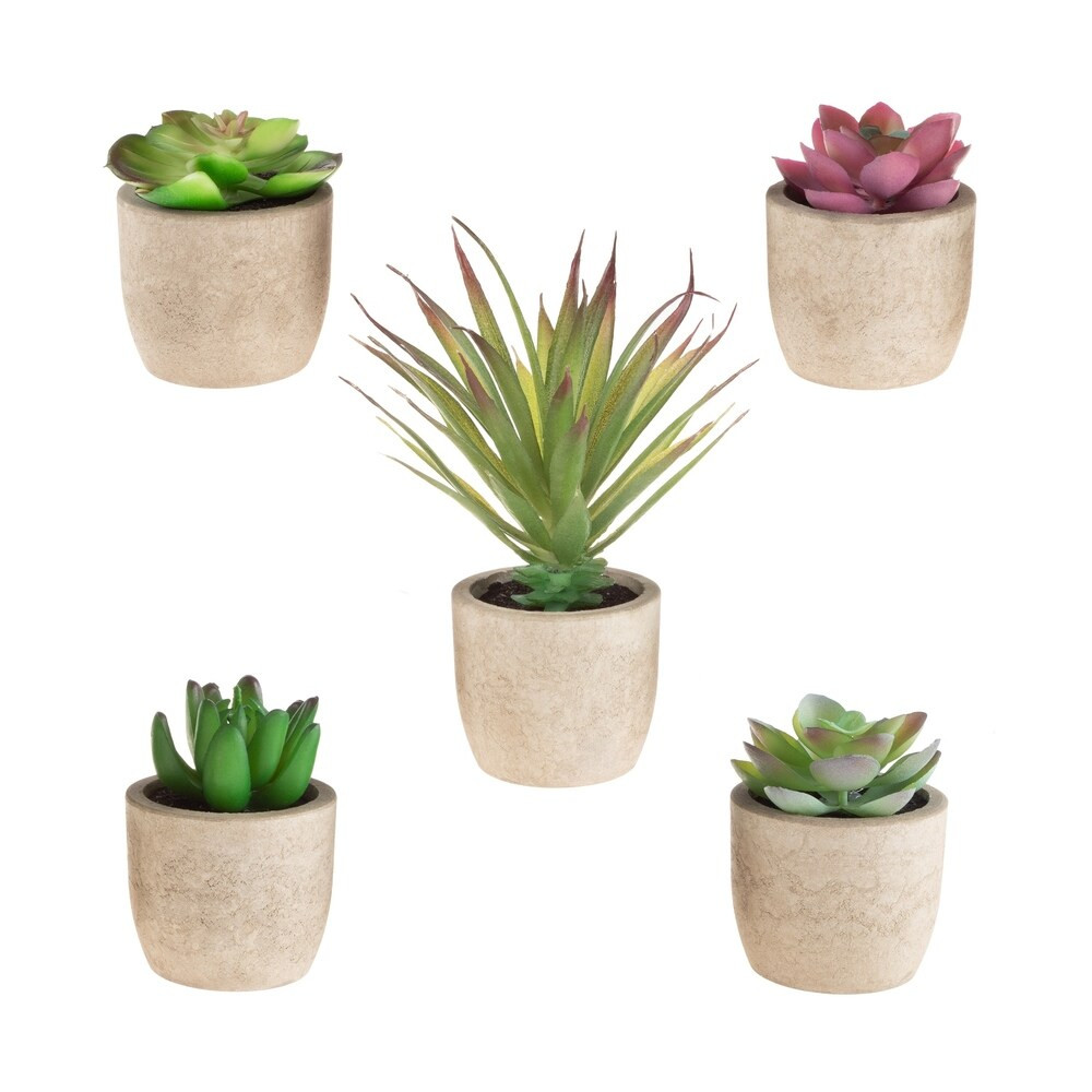 Faux Succulents â Set of 5 Assorted Lifelike Plastic Greenery Arrangements in Stone Look Pots by P | Bed Bath & Beyond