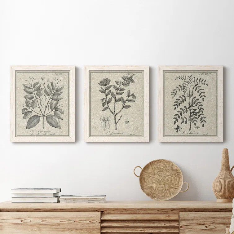 Antique Black And White Botanical VII - 3 Piece Picture Frame Illustration on Canvas | Wayfair North America