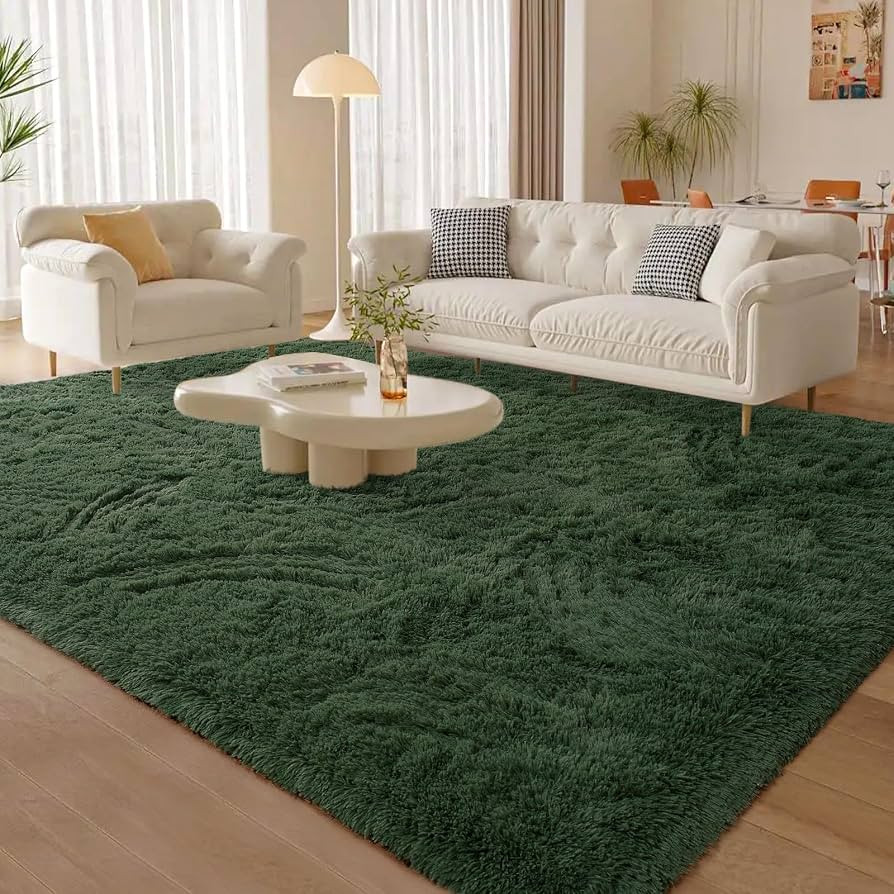 Soft Deep-Green Rugs for Bedroom, 4x6 Feet Fluffy Carpets, Indoor Modern Plush Area Rugs for Livi... | Amazon (US)