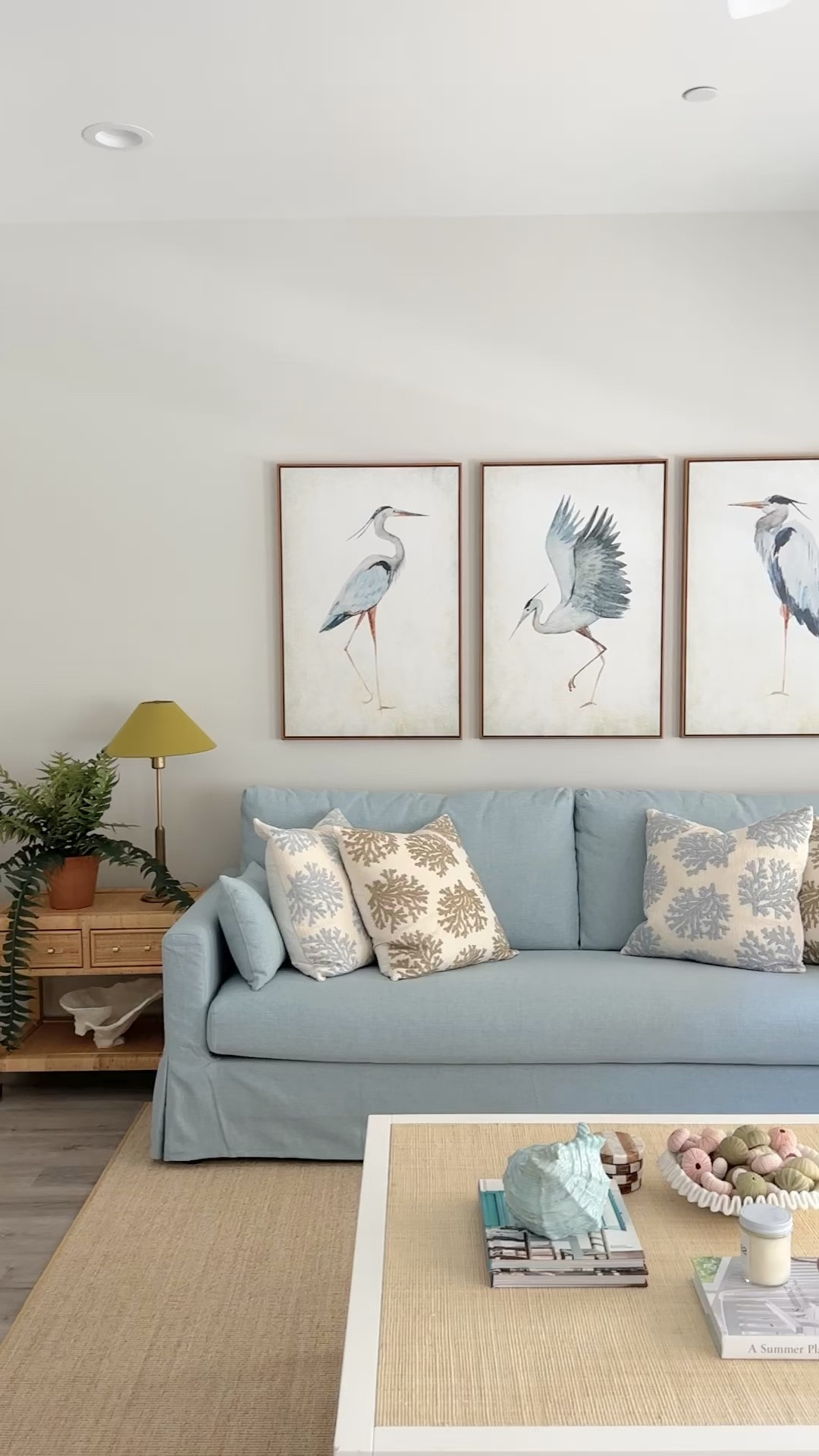 Coastal living room 

#LTKVideo #LTKHome #LTKStyleTip